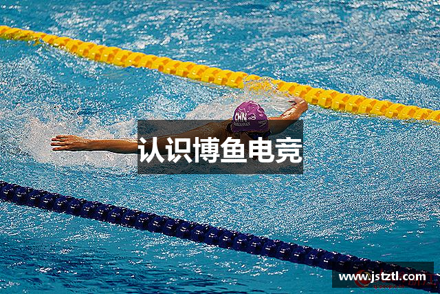 認(rèn)識博鱼电竞